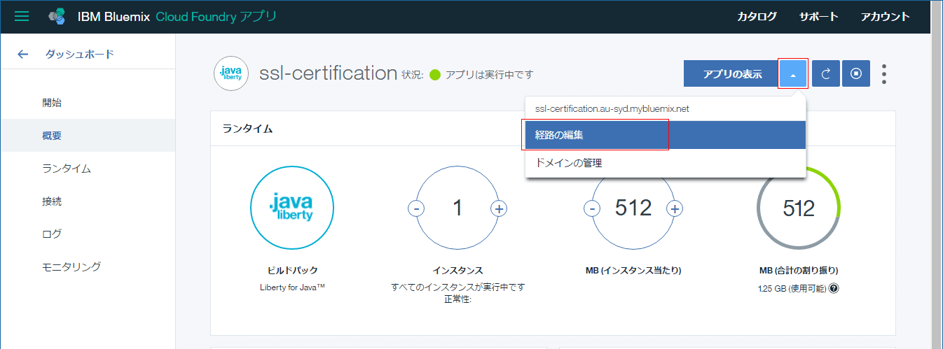 IBM Bluemix SSL certificate install